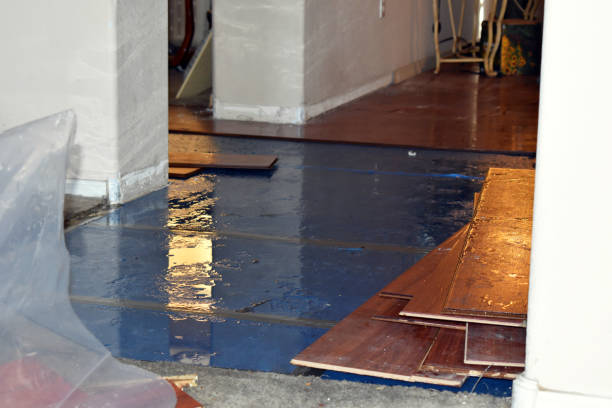 Professional Water Damage technician working in Campbell, TX