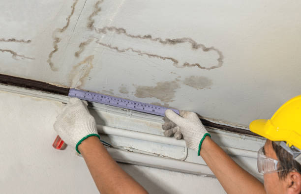 Reliable Water Damage contractor in Campbell, TX by Water Damage Irwin